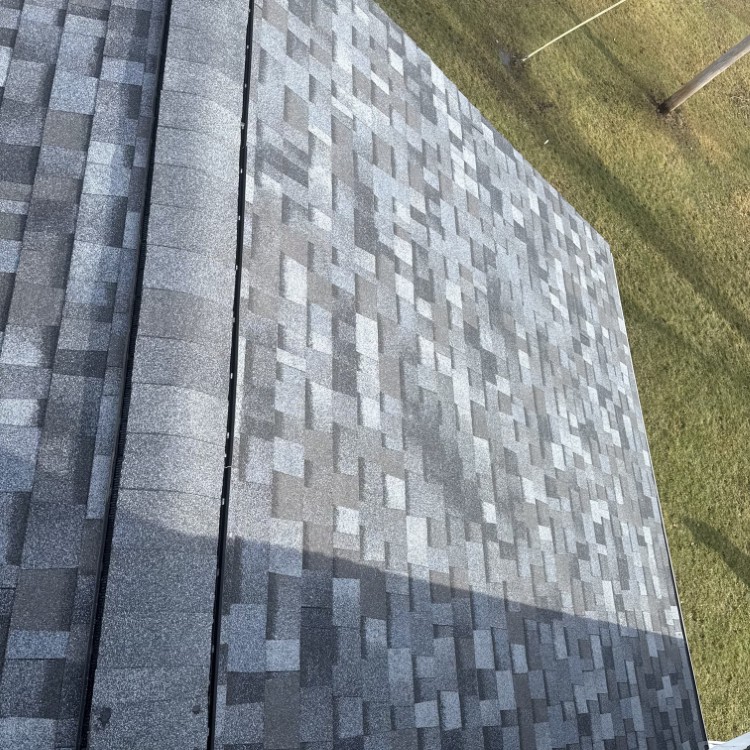 Just another WordPress site