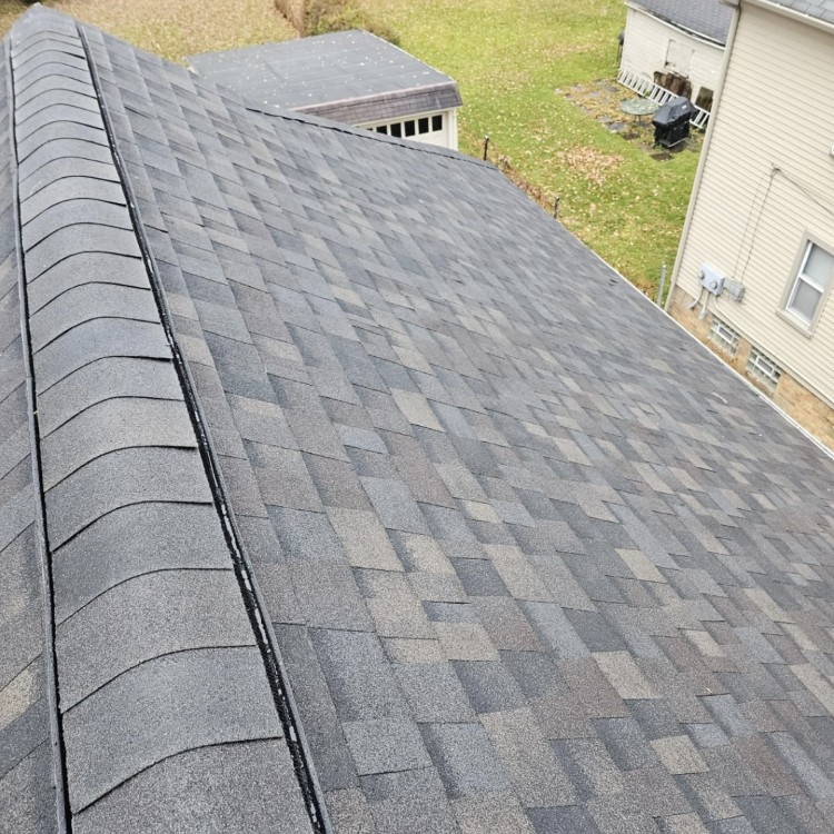 Just another WordPress site