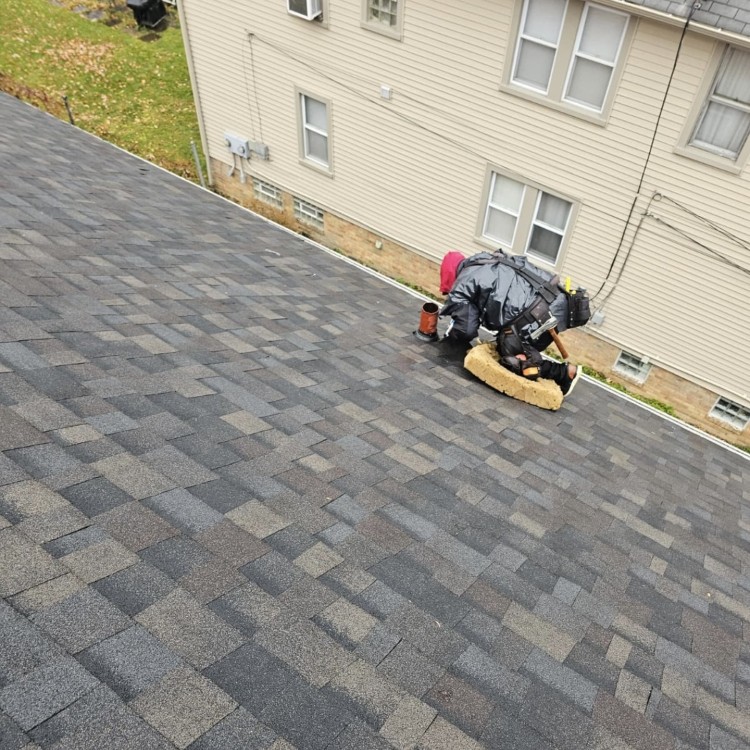 Just another WordPress site