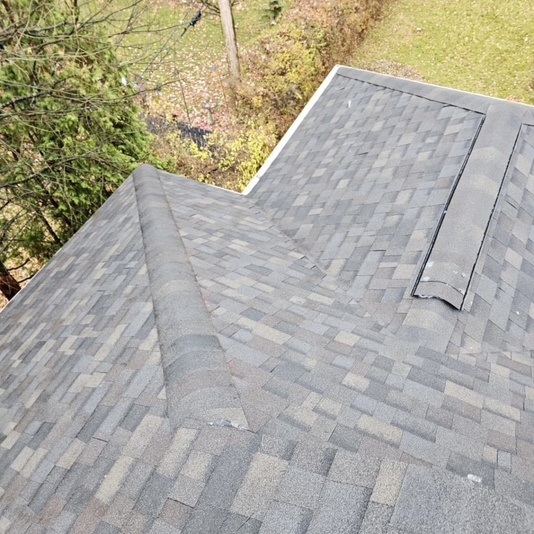 Just another WordPress site